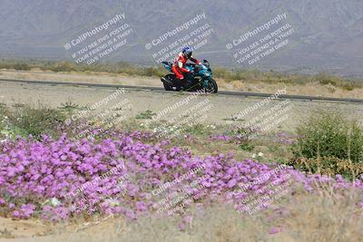 media/Feb-04-2023-SoCal Trackdays (Sat) [[8a776bf2c3]]/Turn 15 Inside Blooming (1050am)/